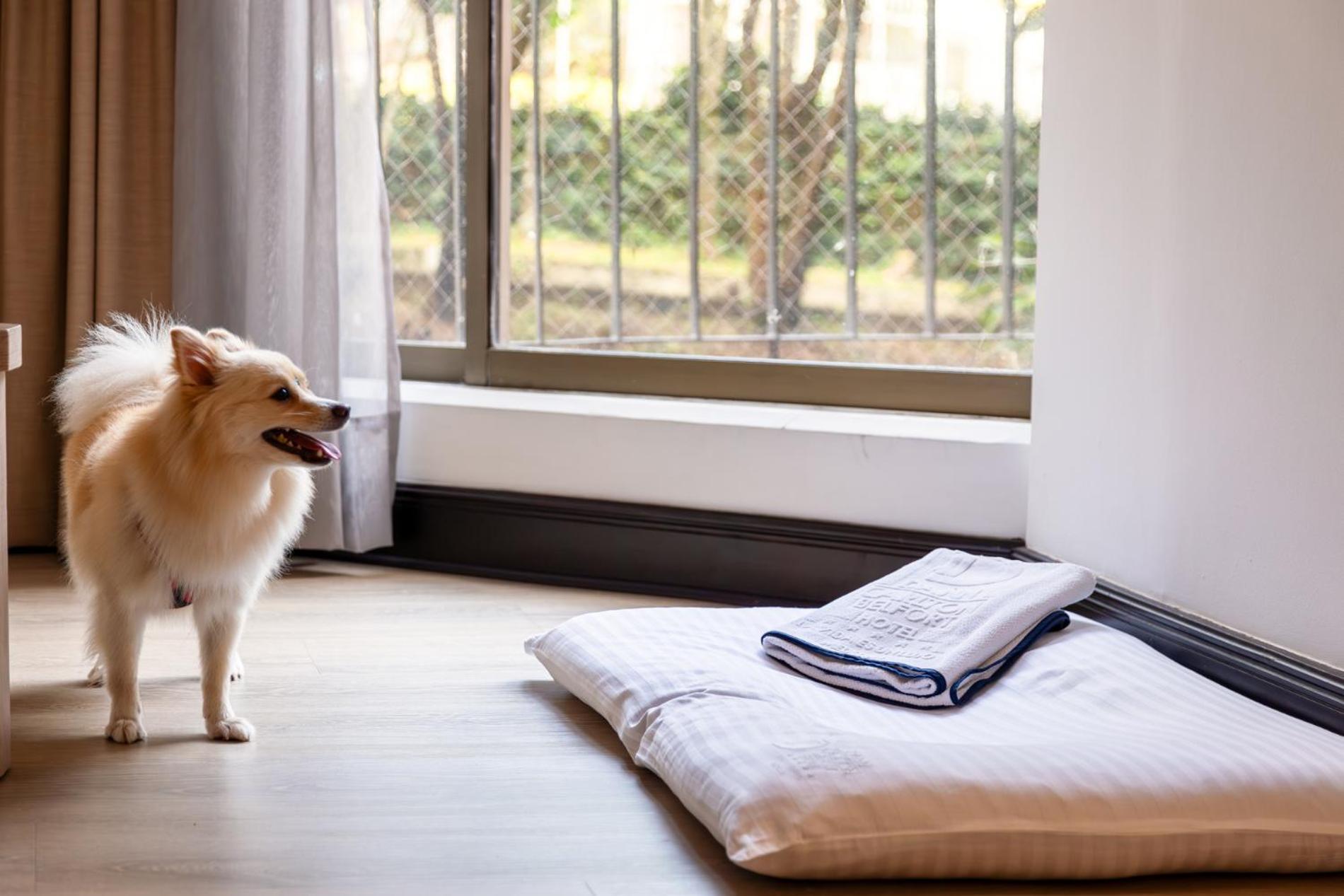 Hotel Dann Carlton Belfort Medellín Eksteriør billede A dog bed